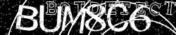 BotCaptcha.