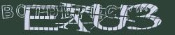 BotCaptcha.