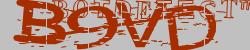BotCaptcha.
