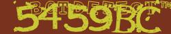 BotCaptcha.