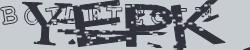 BotCaptcha.