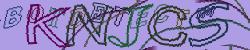BotCaptcha.