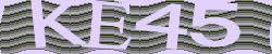 BotCaptcha.