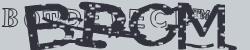 BotCaptcha.