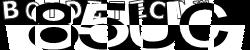 BotCaptcha.