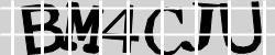 BotCaptcha.